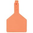 Cow Tag, Orange, 3 x 4.5-In., 25-Pk. Fashion