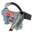 Fill Rite DC Fuel Transfer Pump, Cast Iron, 13 GPM, 12-Volt Online Hot Sale